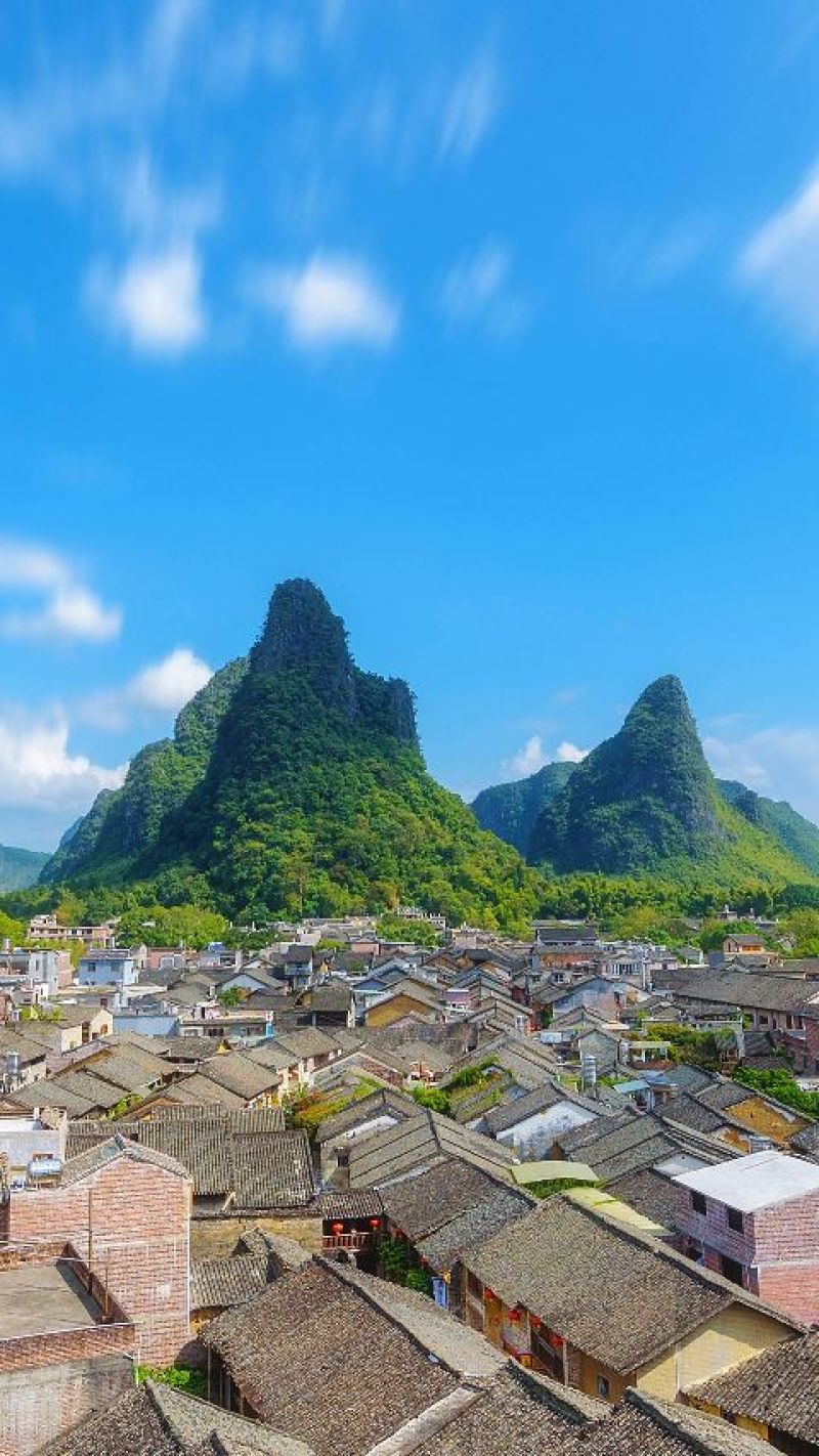 沾化冬枣