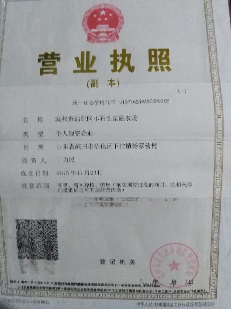 沾化冬枣
