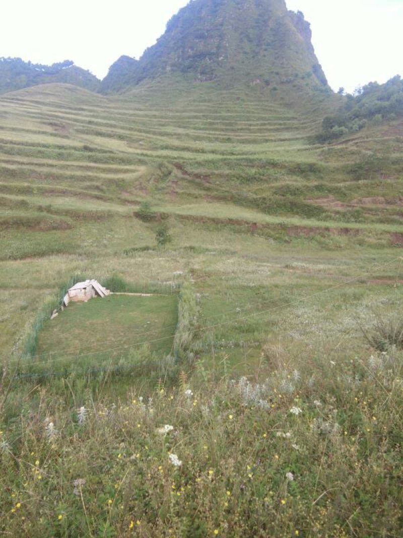 昭通市昭阳区600亩耕地旱地出租