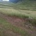 昭通市昭阳区600亩耕地旱地出租