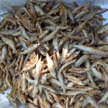 东江湖特色油炸叼子鱼