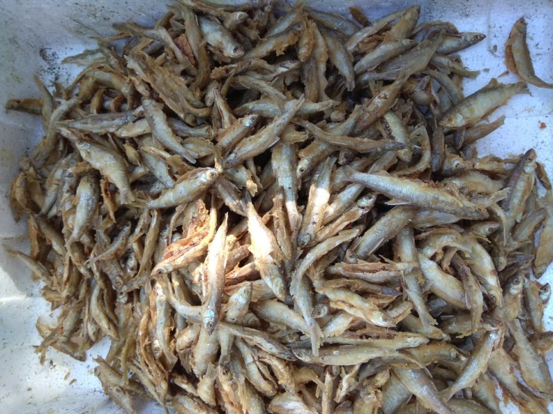 东江湖特色油炸叼子鱼