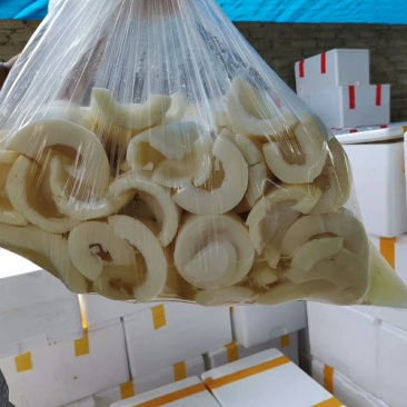 麻竹笋丝、笋片(盐制)无添加，清水笋丝、笋片