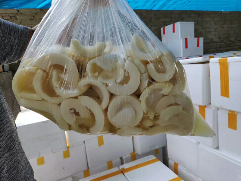麻竹笋丝、笋片(盐制)无添加，清水笋丝、笋片