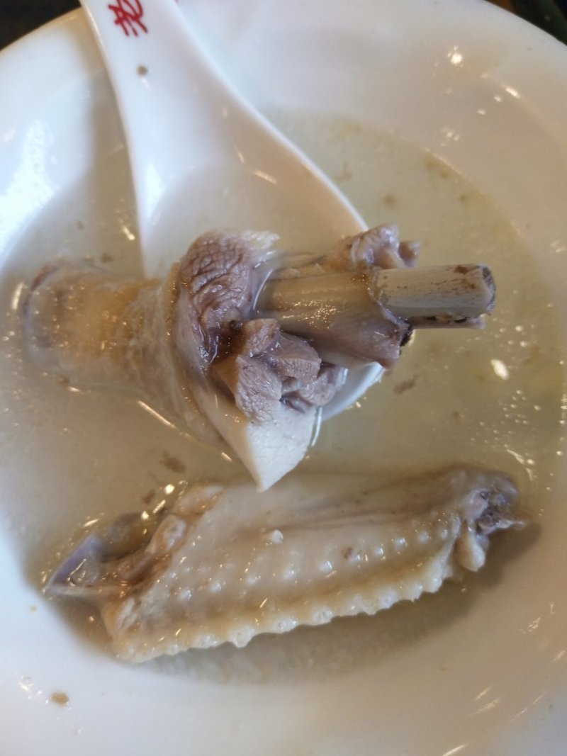 一只会说话的鸡