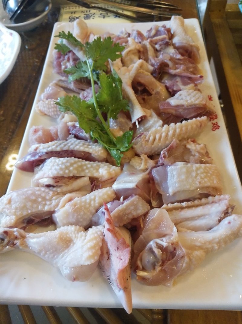 一只会说话的鸡
