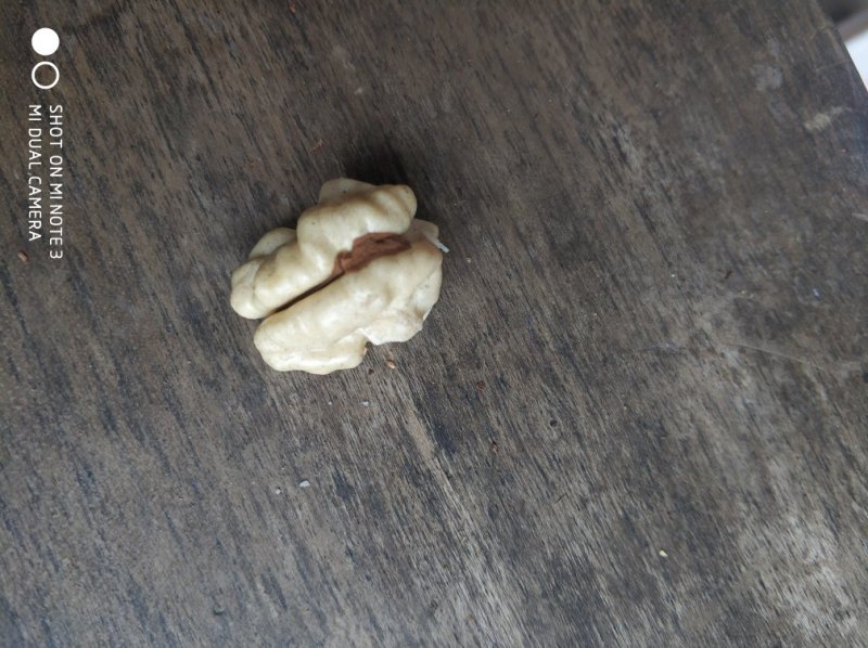 贵州百年老树干核桃包邮