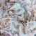 虾皮特级