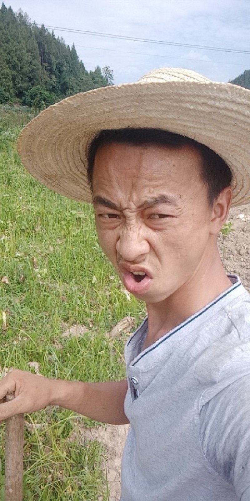 大量出售各种杂交野兔和家兔