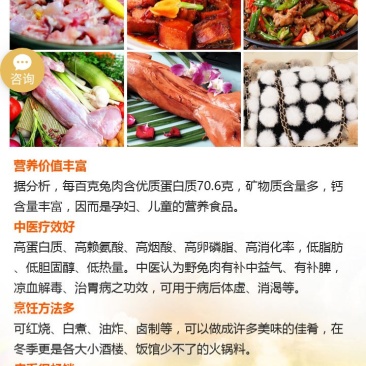 大量出售各种杂交野兔和家兔
