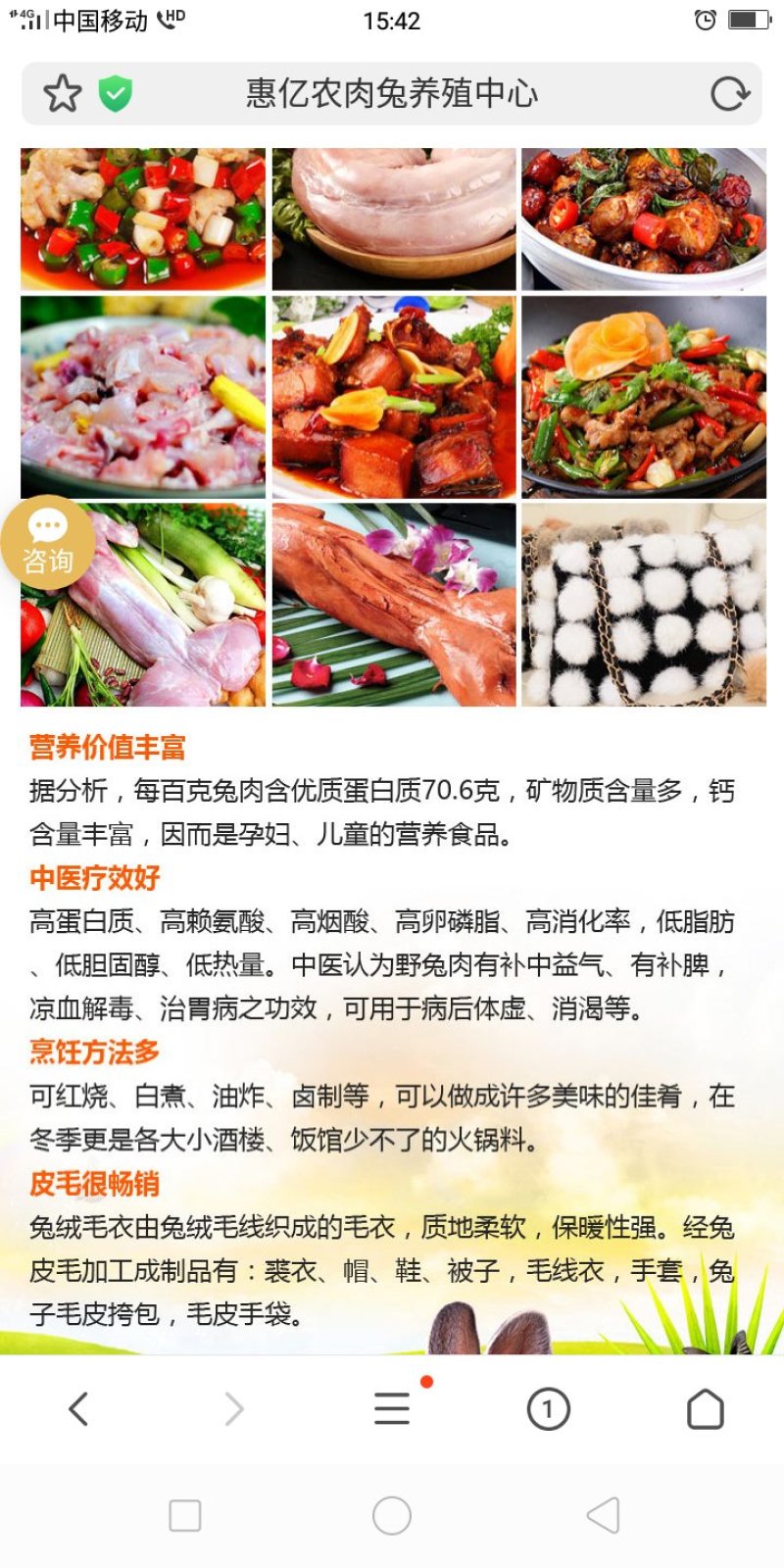 大量出售各种杂交野兔和家兔