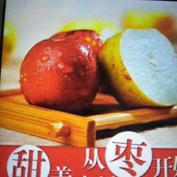 沾化冬枣