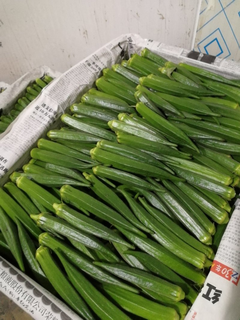 【黄秋葵】海南产地直供质量保证货源充足量大优惠欢迎订购