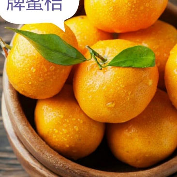 古糜城牌国庆1号桔子，蜜桔，地方特产金水柑。