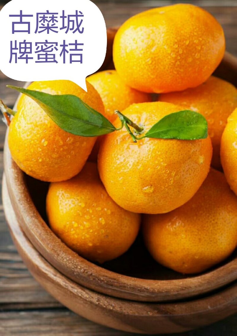 古糜城牌国庆1号桔子，蜜桔，地方特产金水柑。