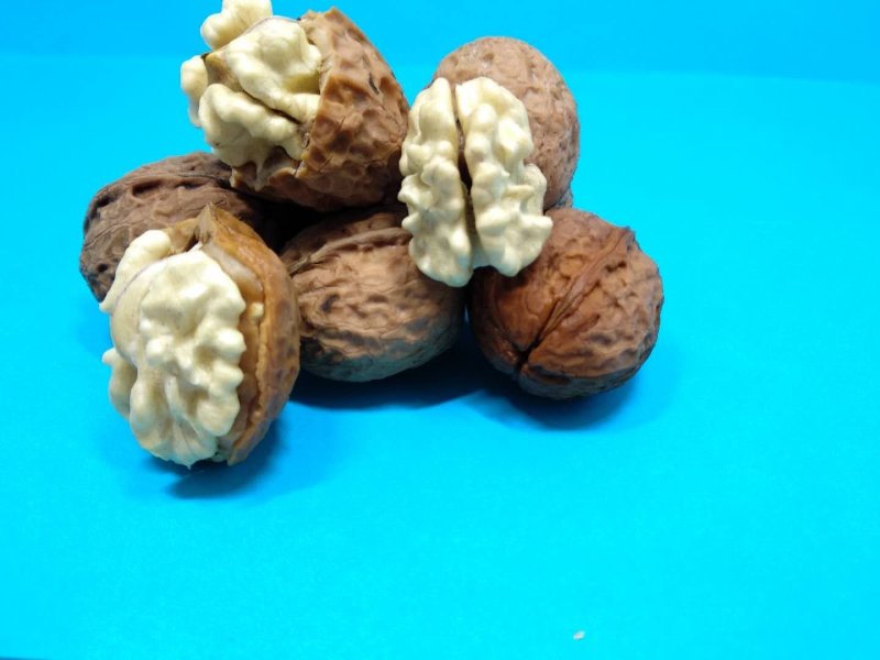 云南新鲜去青皮湿核桃孕妇老年补脑薄皮散装现摘现发