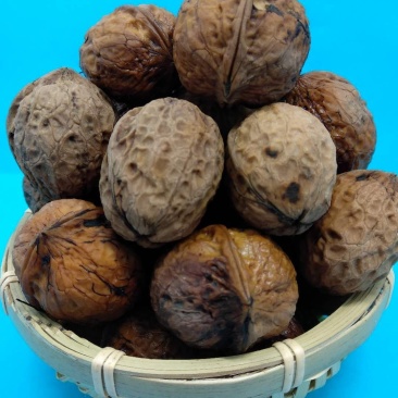 云南新鲜去青皮湿核桃孕妇老年补脑薄皮散装现摘现发