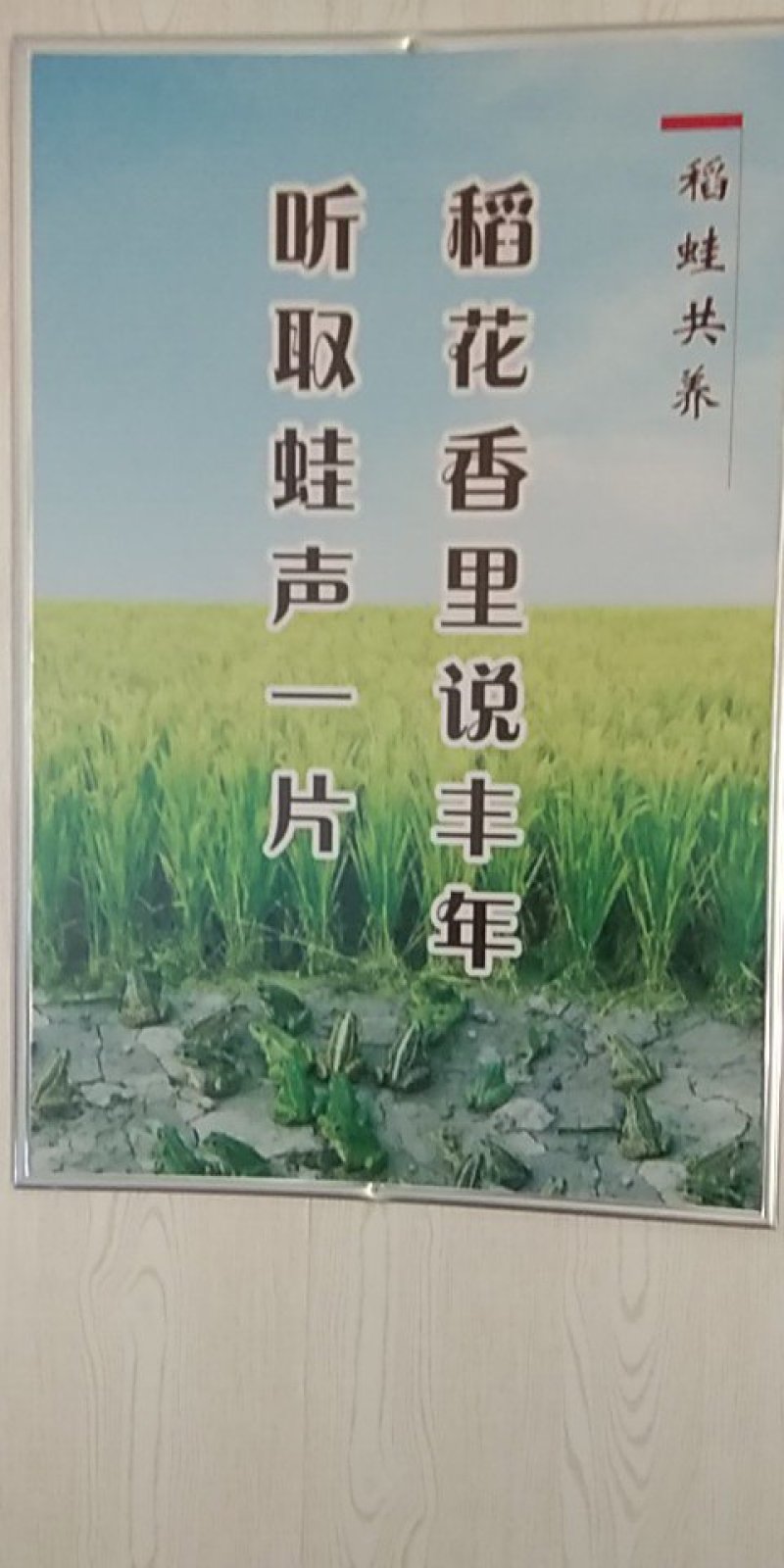 中秋礼品，不一样的选择，不一样的味道，别致用心，传手工制