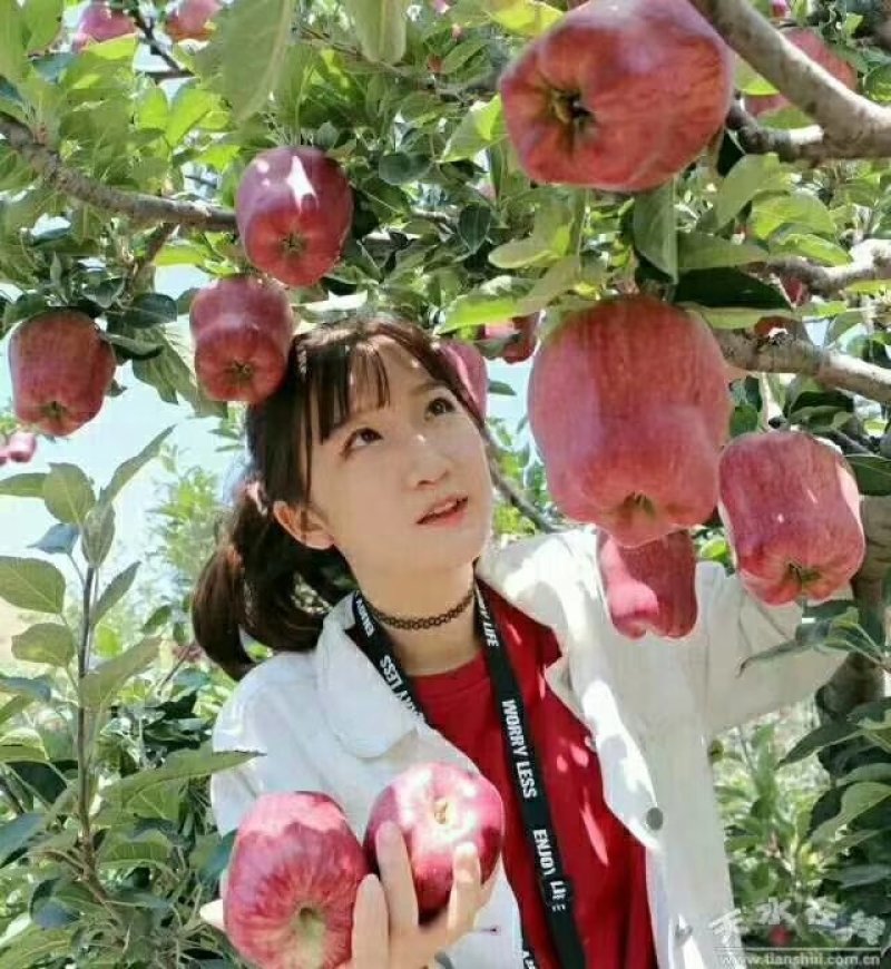 蛇果