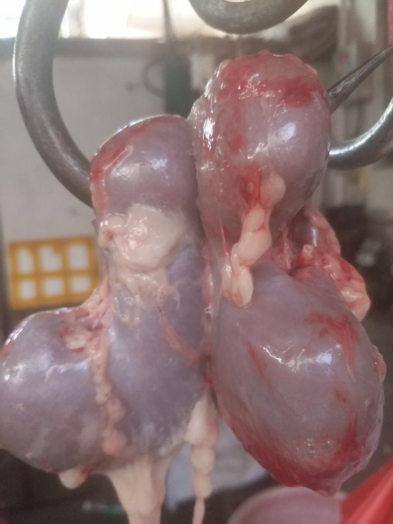 驴肉