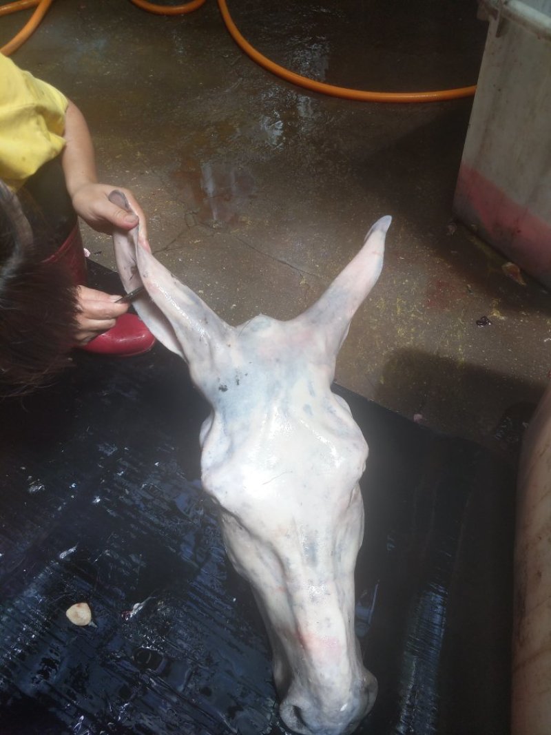 驴肉