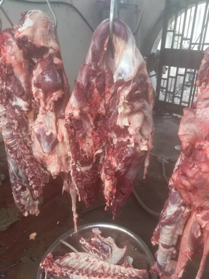 驴肉