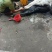 驴肉