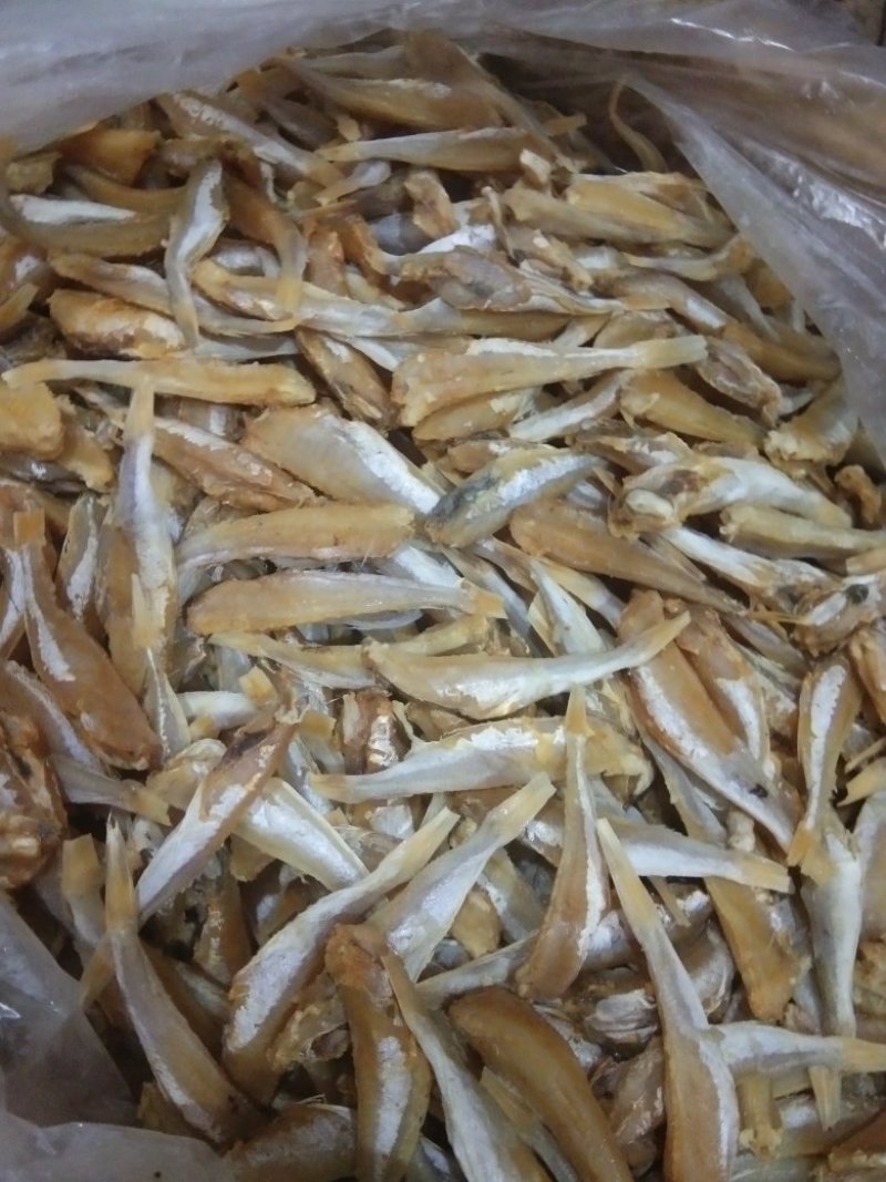 角鱼干