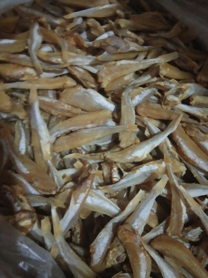 角鱼干