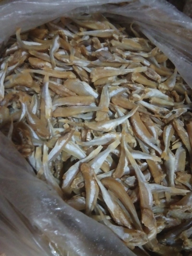 角鱼干