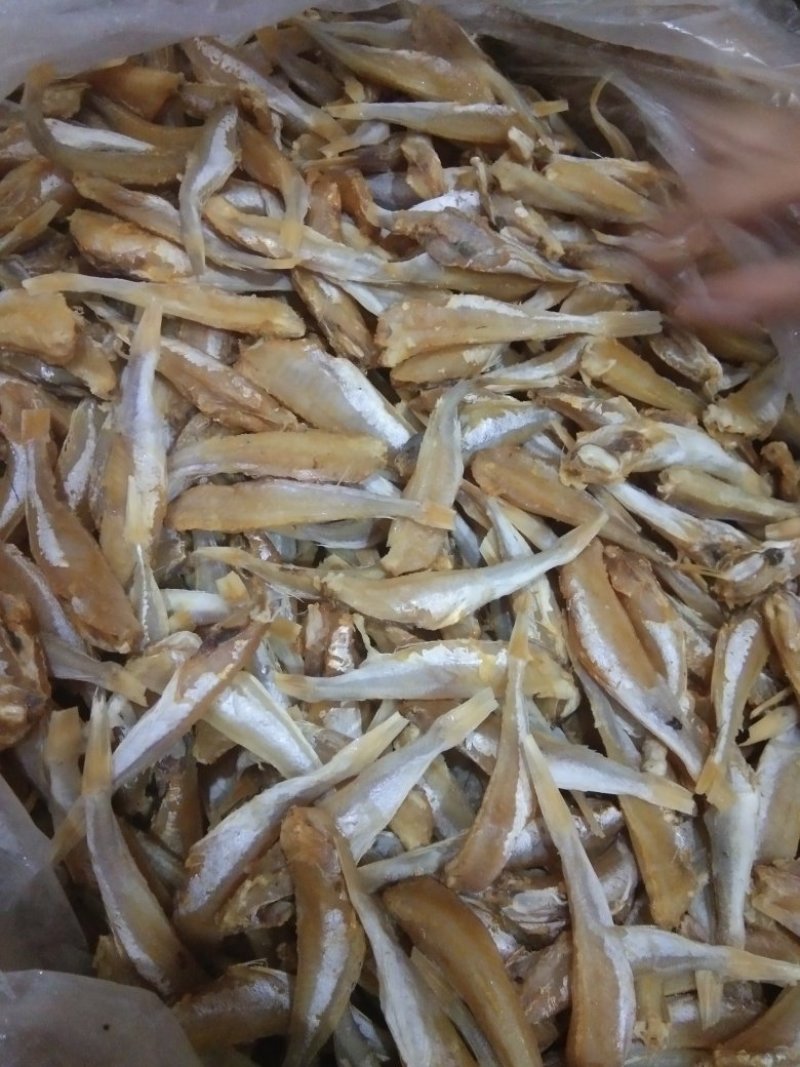 角鱼干