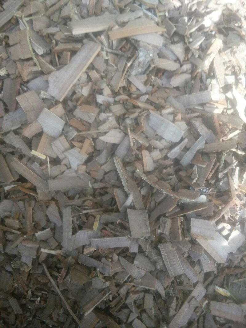 鬼羽箭