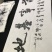 常年供应优质平菇秀珍菇菌棒