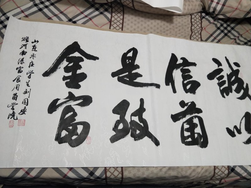 常年供应优质平菇秀珍菇菌棒