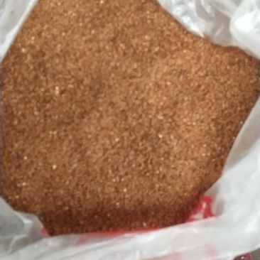 乌蒙山区冰粉籽