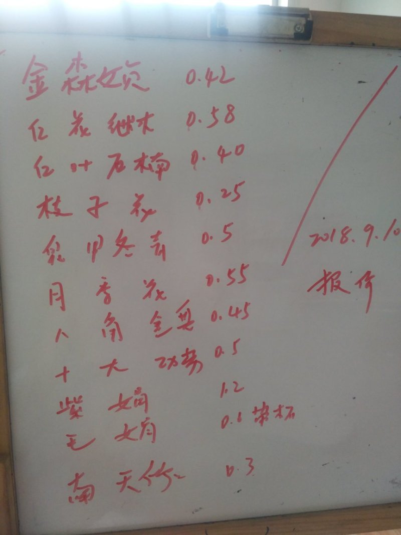 红罗宾苗10~20cm