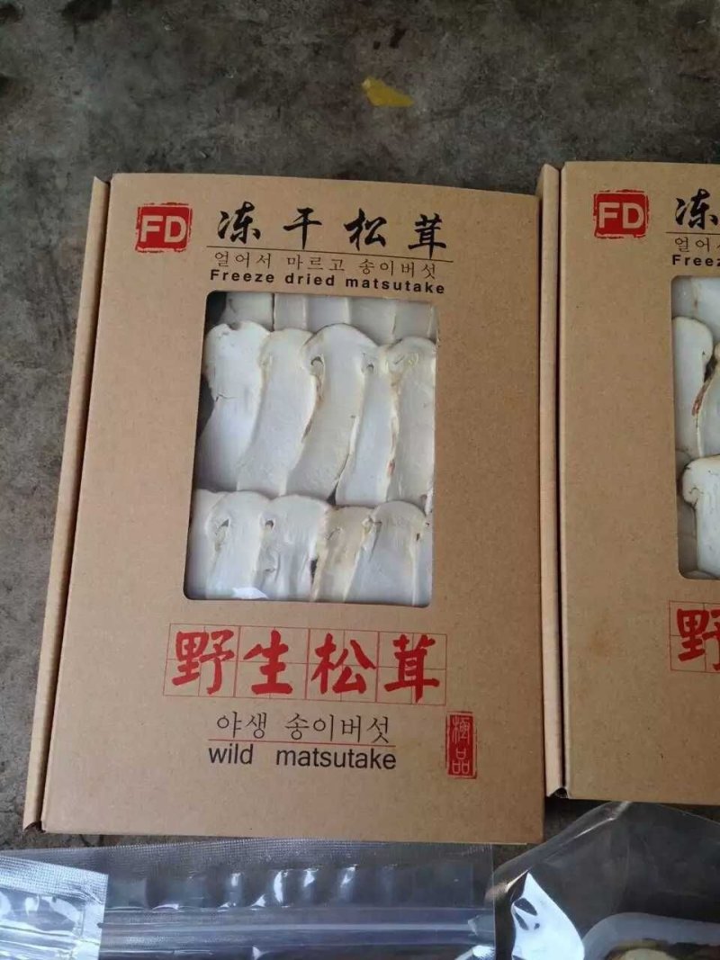 FD松茸
