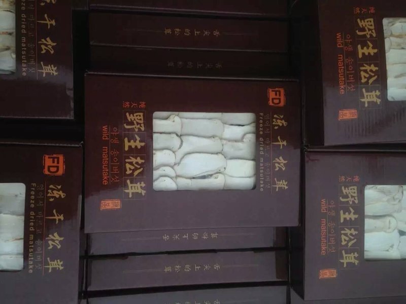 FD松茸