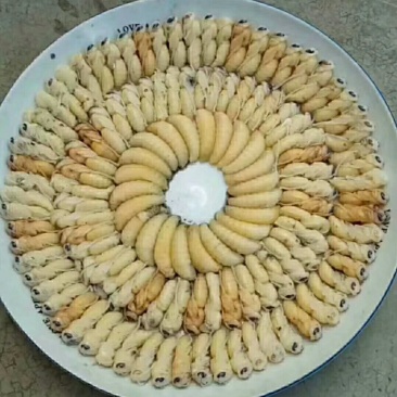 熟冻蜂1234级