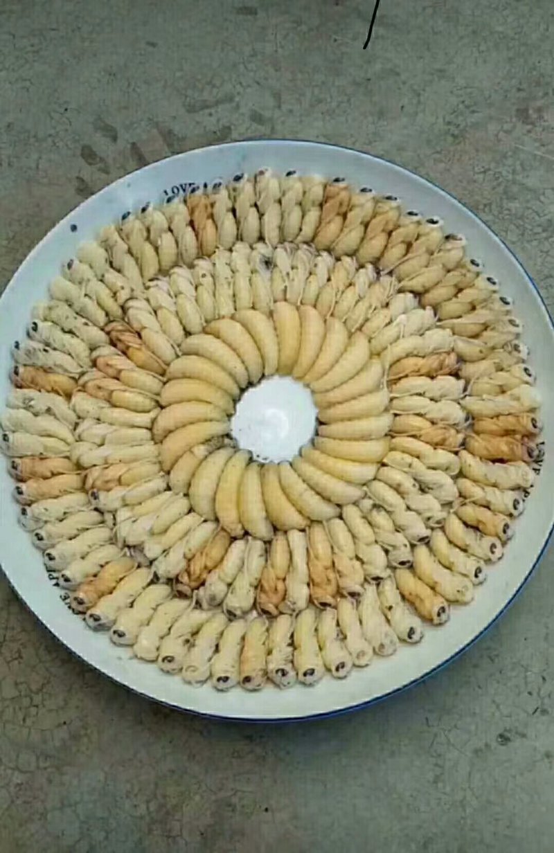 熟冻蜂1234级