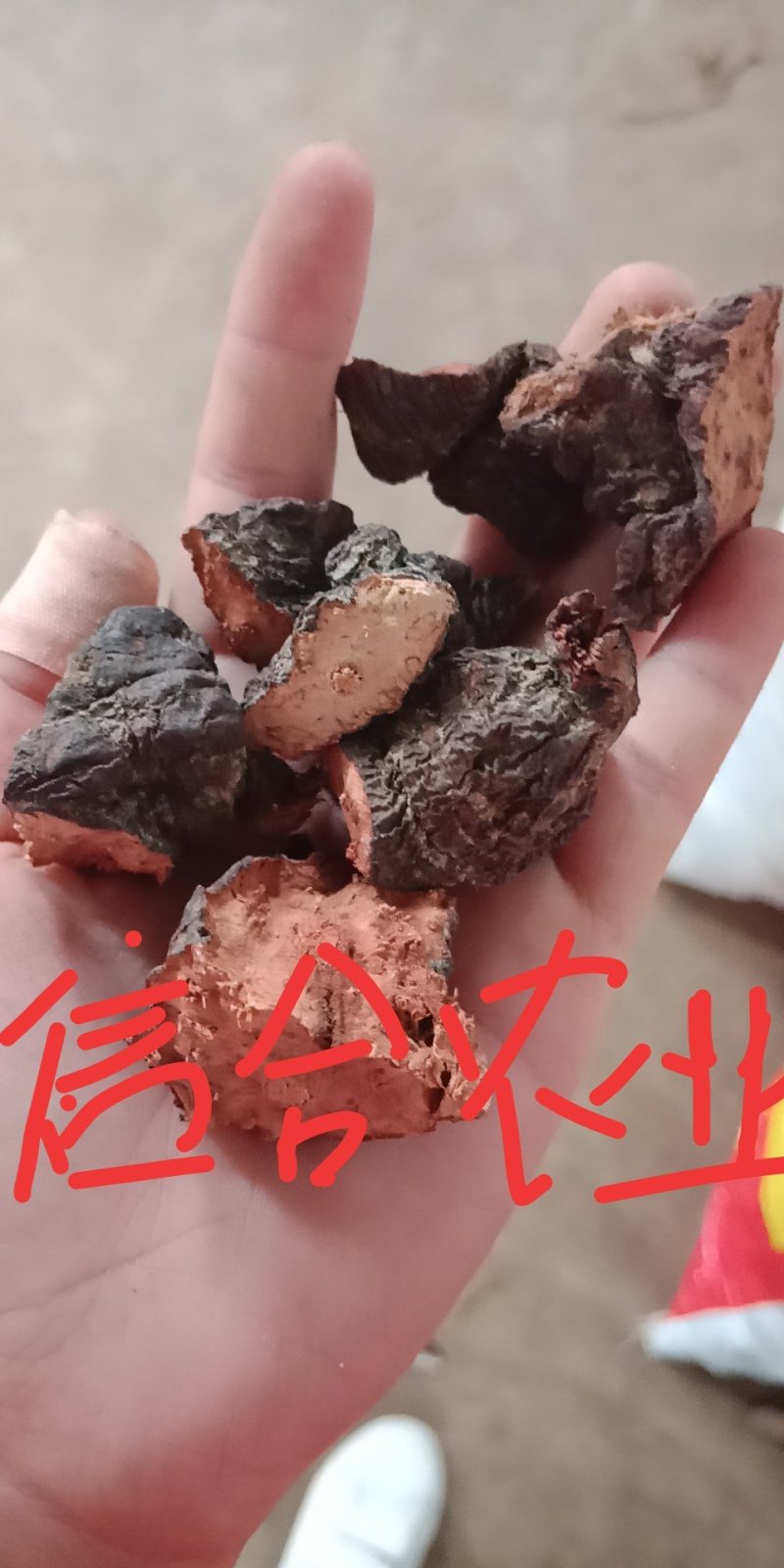 何首乌云南野生货云县信合农业发展有限公司