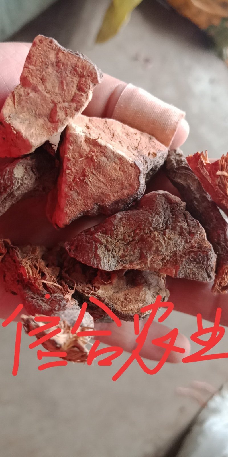 何首乌云南野生货云县信合农业发展有限公司