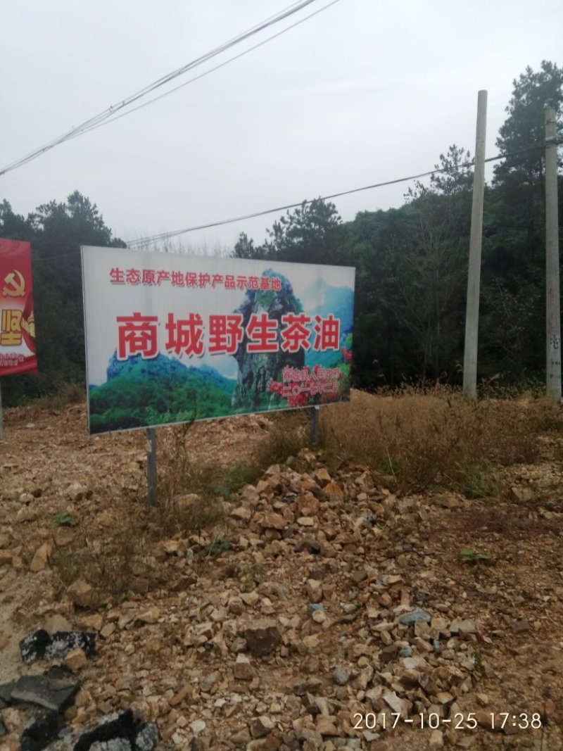 野生山茶籽