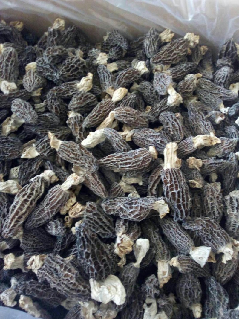 羊肚菌花椒