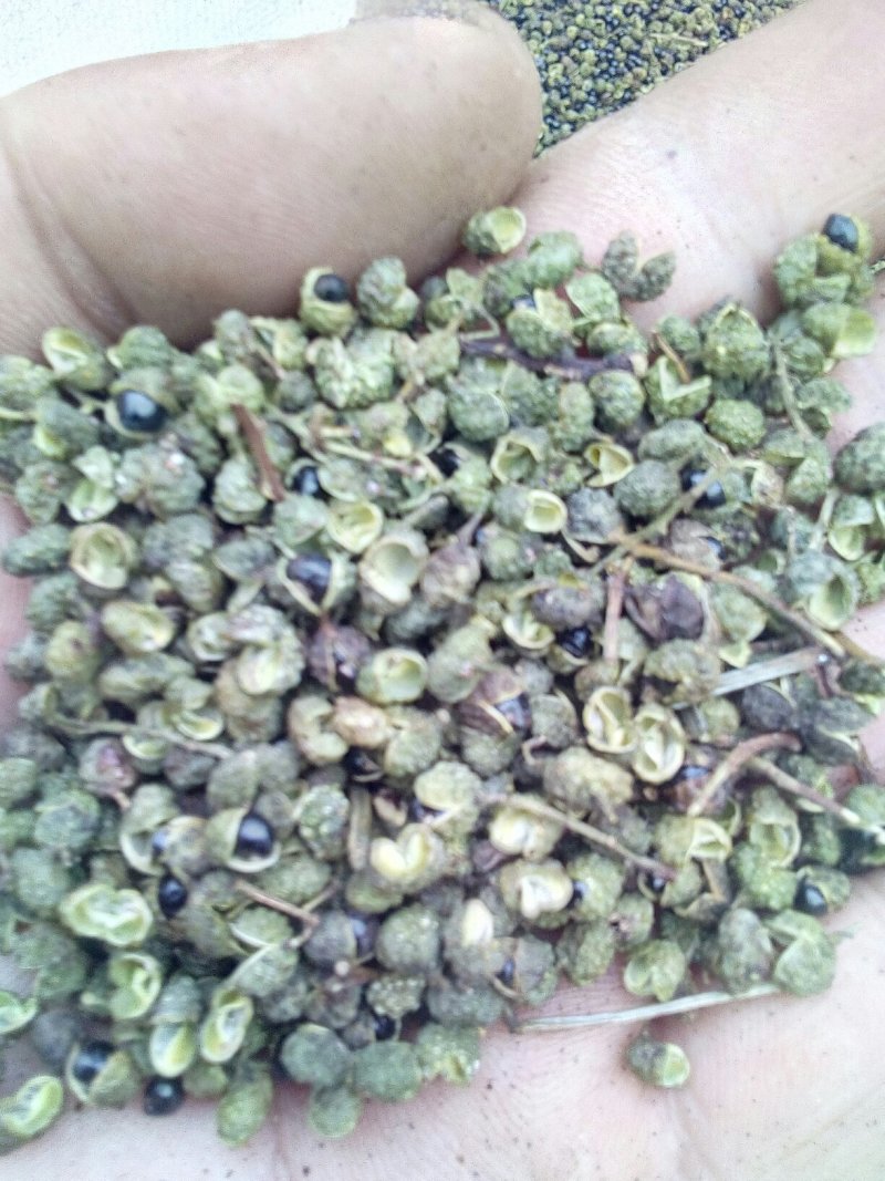 羊肚菌花椒