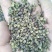 羊肚菌花椒