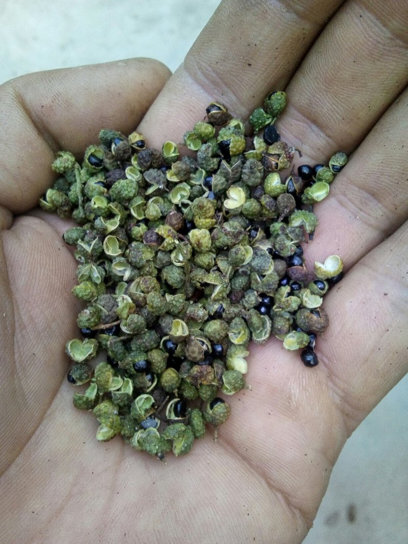 羊肚菌花椒