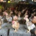 k9肉鸡苗