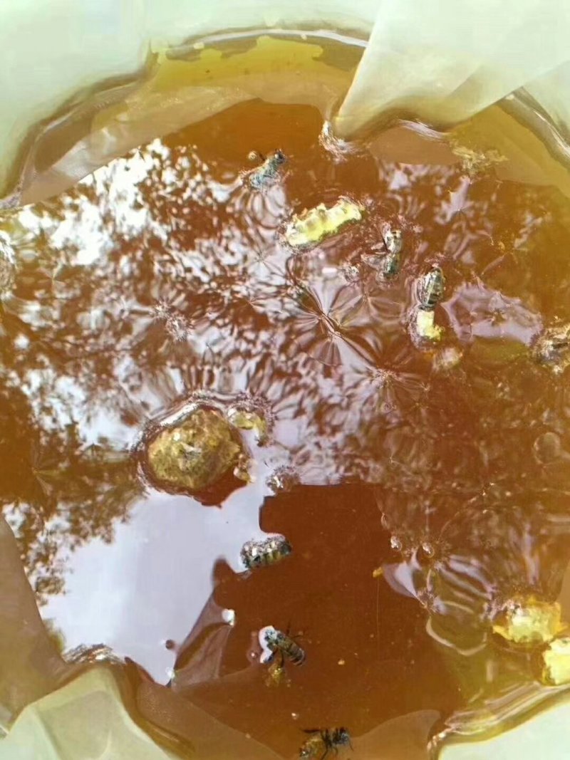 新疆若羌成熟封盖枣花蜜（波美度高达42度以上）