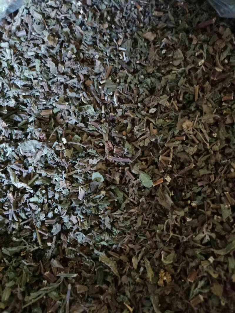 薄荷